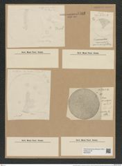 Coscinodiscus radiatus var. medius Grun. (de-Toni-Nr.: Genus 202, Species 4972) Zeichnungen Sammlung Grunow Nr. 8586 (NHMW-BOT-W0378237)